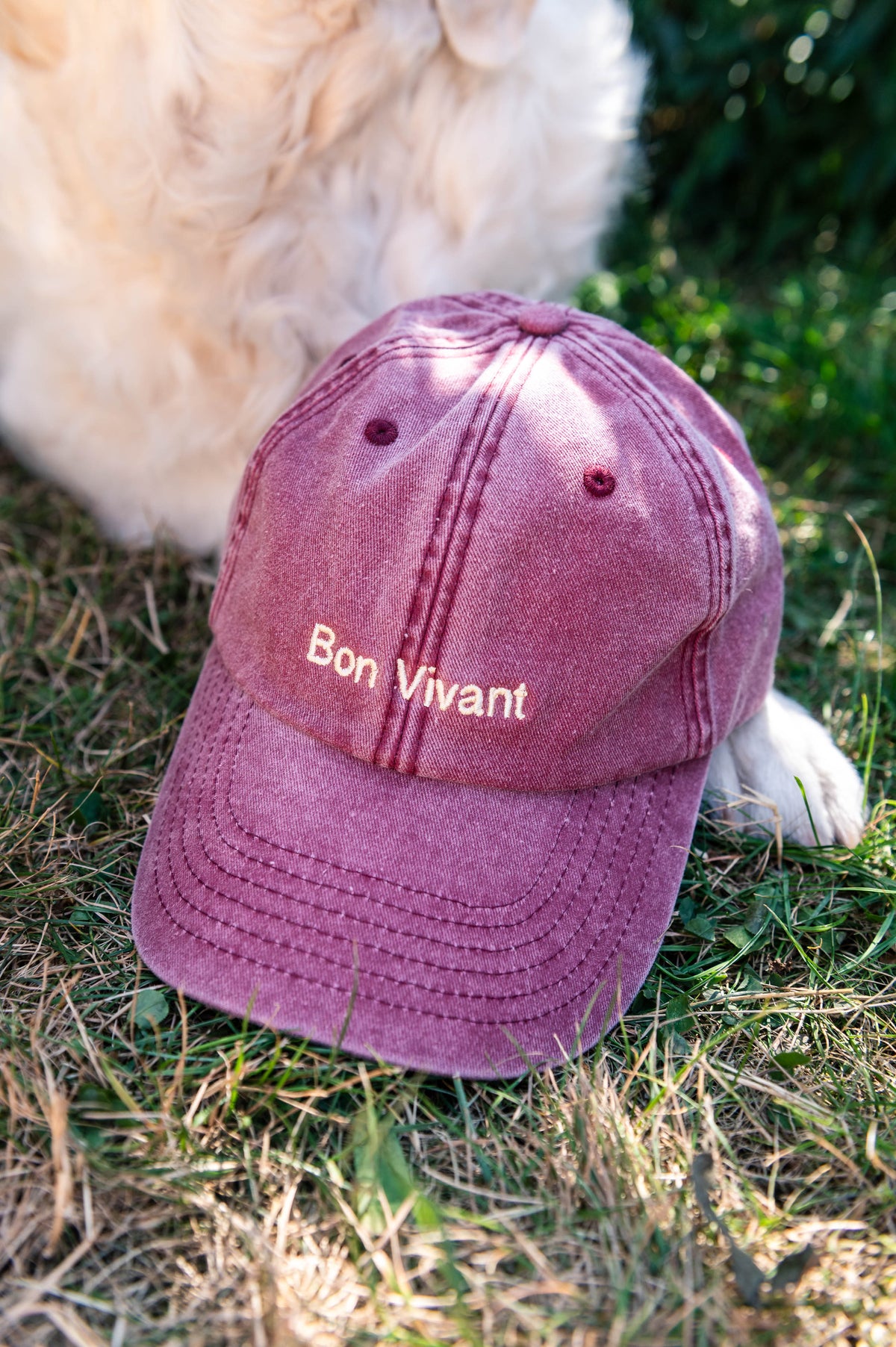 Bon Vivant Pet